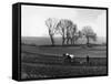 Spring Ploughing 1938-null-Framed Stretched Canvas
