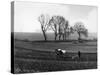 Spring Ploughing 1938-null-Stretched Canvas