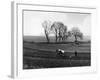 Spring Ploughing 1938-null-Framed Photographic Print