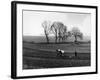 Spring Ploughing 1938-null-Framed Photographic Print