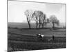 Spring Ploughing 1938-null-Mounted Photographic Print