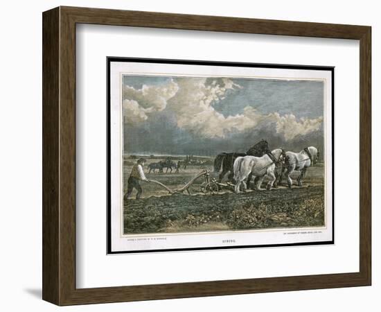 Spring, Ploughing the Field with Three Shire Horses-null-Framed Art Print