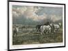 Spring, Ploughing the Field with Three Shire Horses-null-Mounted Art Print