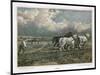 Spring, Ploughing the Field with Three Shire Horses-null-Mounted Art Print