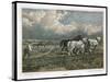 Spring, Ploughing the Field with Three Shire Horses-null-Stretched Canvas