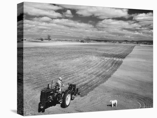 Spring Plowing on Farm in de Soto, Kansas-Francis Miller-Stretched Canvas