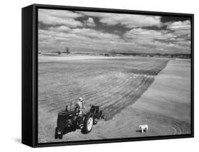 Spring Plowing on Farm in de Soto, Kansas-Francis Miller-Framed Stretched Canvas