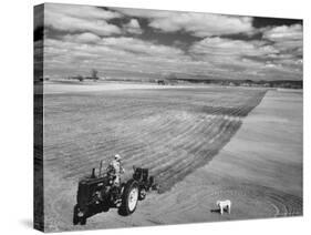 Spring Plowing on Farm in de Soto, Kansas-Francis Miller-Stretched Canvas