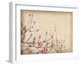 Spring Plum Blossom Blossom on Old Antique Vintage Paper Background-kenny001-Framed Art Print