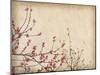 Spring Plum Blossom Blossom on Old Antique Vintage Paper Background-kenny001-Mounted Art Print