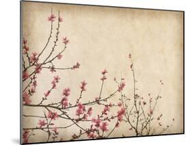 Spring Plum Blossom Blossom on Old Antique Vintage Paper Background-kenny001-Mounted Art Print