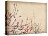 Spring Plum Blossom Blossom on Old Antique Vintage Paper Background-kenny001-Stretched Canvas