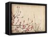 Spring Plum Blossom Blossom on Old Antique Vintage Paper Background-kenny001-Framed Stretched Canvas