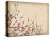 Spring Plum Blossom Blossom on Old Antique Vintage Paper Background-kenny001-Stretched Canvas