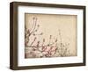 Spring Plum Blossom Blossom on Old Antique Vintage Paper Background-kenny001-Framed Art Print