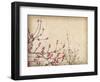 Spring Plum Blossom Blossom on Old Antique Vintage Paper Background-kenny001-Framed Art Print