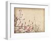 Spring Plum Blossom Blossom on Old Antique Vintage Paper Background-kenny001-Framed Art Print