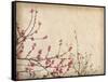 Spring Plum Blossom Blossom on Old Antique Vintage Paper Background-kenny001-Framed Stretched Canvas