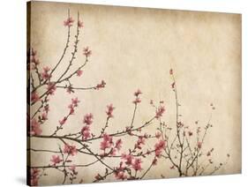 Spring Plum Blossom Blossom on Old Antique Vintage Paper Background-kenny001-Stretched Canvas