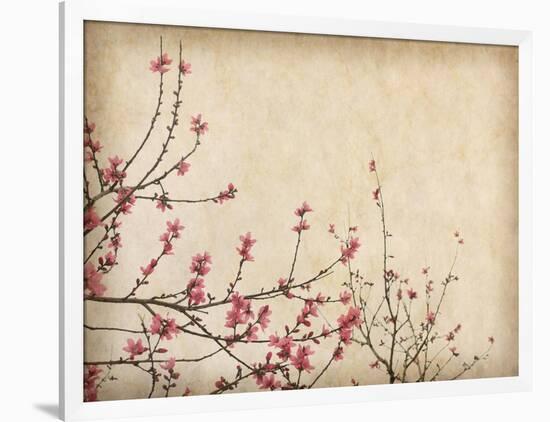 Spring Plum Blossom Blossom on Old Antique Vintage Paper Background-kenny001-Framed Art Print