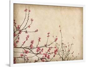 Spring Plum Blossom Blossom on Old Antique Vintage Paper Background-kenny001-Framed Art Print