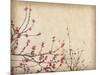Spring Plum Blossom Blossom on Old Antique Vintage Paper Background-kenny001-Mounted Art Print