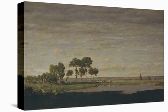 Spring, Pond, 1852-Théodore Rousseau-Stretched Canvas