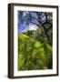 Spring Pop - Mount Diablo Wildflowers Green Hills Northern California-Vincent James-Framed Photographic Print