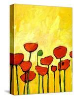 Spring Poppies 2-Patty Baker-Stretched Canvas