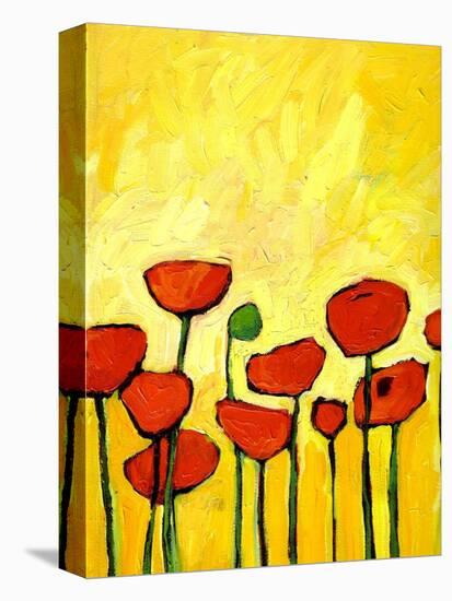 Spring Poppies 2-Patty Baker-Stretched Canvas