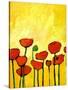 Spring Poppies 2-Patty Baker-Stretched Canvas