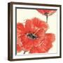 Spring Poppy II-Chris Paschke-Framed Art Print