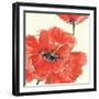 Spring Poppy II-Chris Paschke-Framed Art Print