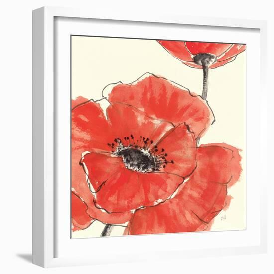 Spring Poppy II-Chris Paschke-Framed Art Print