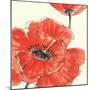 Spring Poppy II-Chris Paschke-Mounted Art Print