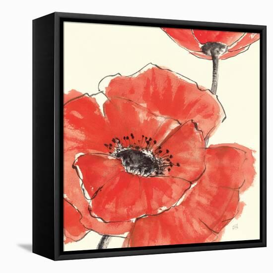 Spring Poppy II-Chris Paschke-Framed Stretched Canvas