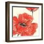 Spring Poppy II-Chris Paschke-Framed Art Print