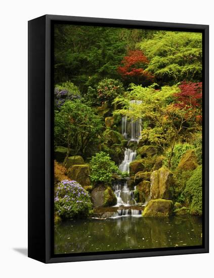 Spring, Portland Japanese Garden, Portland, Oregon, USA-Michel Hersen-Framed Stretched Canvas