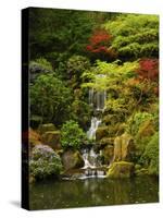 Spring, Portland Japanese Garden, Portland, Oregon, USA-Michel Hersen-Stretched Canvas