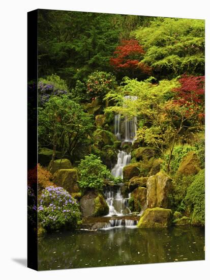 Spring, Portland Japanese Garden, Portland, Oregon, USA-Michel Hersen-Stretched Canvas