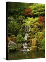 Spring, Portland Japanese Garden, Portland, Oregon, USA-Michel Hersen-Stretched Canvas