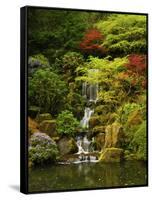 Spring, Portland Japanese Garden, Portland, Oregon, USA-Michel Hersen-Framed Stretched Canvas