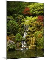 Spring, Portland Japanese Garden, Portland, Oregon, USA-Michel Hersen-Mounted Photographic Print