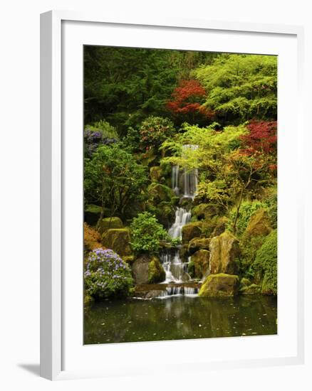 Spring, Portland Japanese Garden, Portland, Oregon, USA-Michel Hersen-Framed Photographic Print