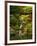 Spring, Portland Japanese Garden, Portland, Oregon, USA-Michel Hersen-Framed Photographic Print