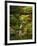 Spring, Portland Japanese Garden, Portland, Oregon, USA-Michel Hersen-Framed Photographic Print