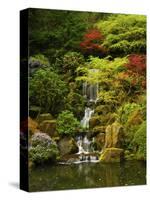 Spring, Portland Japanese Garden, Portland, Oregon, USA-Michel Hersen-Stretched Canvas