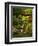 Spring, Portland Japanese Garden, Portland, Oregon, USA-Michel Hersen-Framed Premium Photographic Print