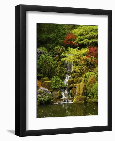 Spring, Portland Japanese Garden, Portland, Oregon, USA-Michel Hersen-Framed Premium Photographic Print