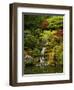 Spring, Portland Japanese Garden, Portland, Oregon, USA-Michel Hersen-Framed Photographic Print